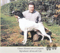 Pedigree AIRONE DEL CELO Pedigree AIRONE DEL CELO